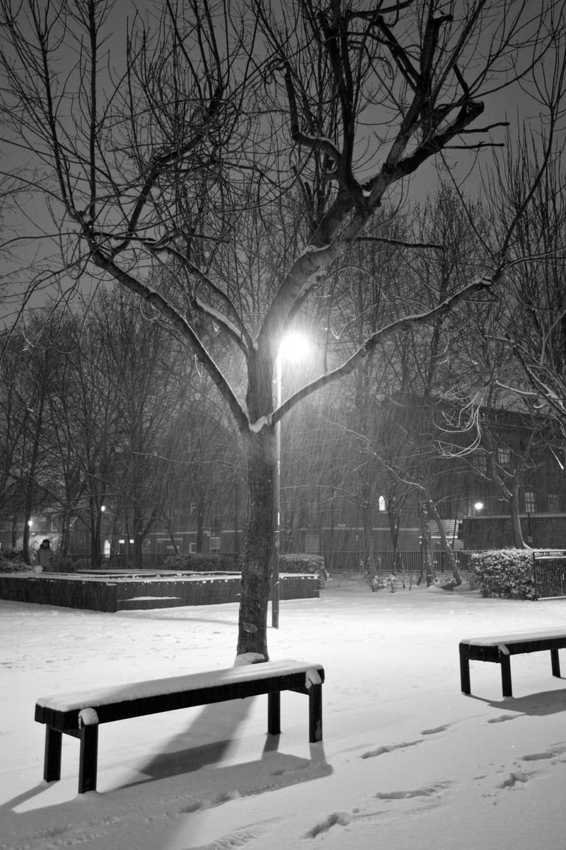 Snow-covered benches and a bare tree under a glowing park lamp at night, footprints in the snow