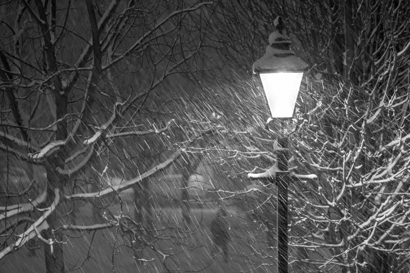 A park lamp glowing through snow-laden branches in falling snow, a lone figure in the distance