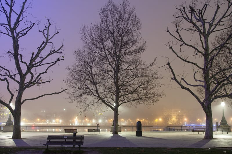 Bare trees and benches on a misty riverside terrace at night, lights across the water