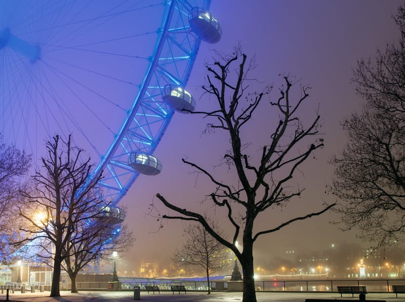 The London Eye's rim pale blue in fog behind bare trees, embankment lamps below