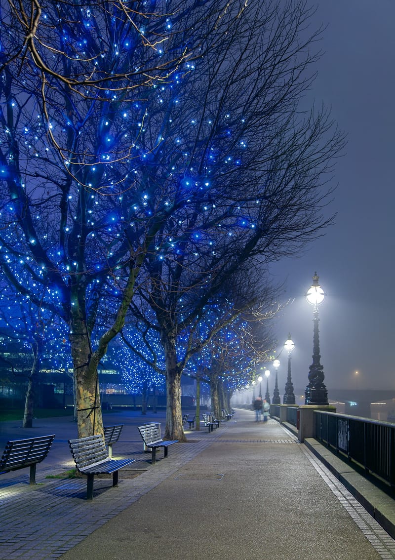 Riverside trees wrapped in blue fairy lights on a foggy night, lamps receding along the South Bank