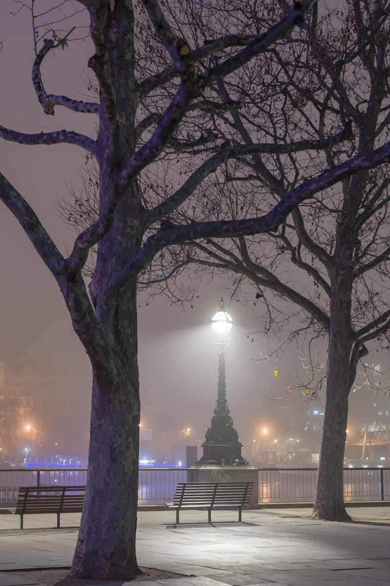 Victorian lamp between bare trees on the foggy embankment at night