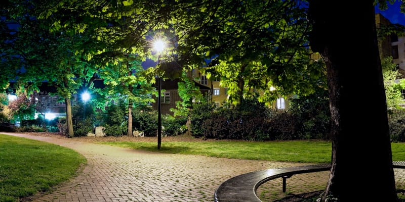 A cobbled path passing a circular tree bench under lamplight at night