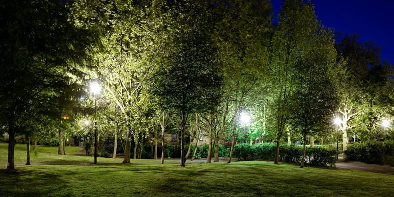 Panorama of a wooded park at night, lamps glowing between the trees