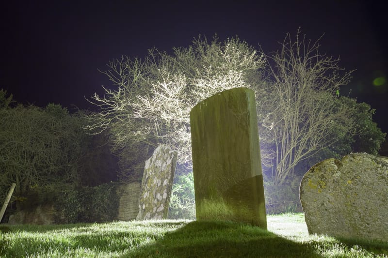 A standing gravestone catching lamplight beside a blossoming tree at night