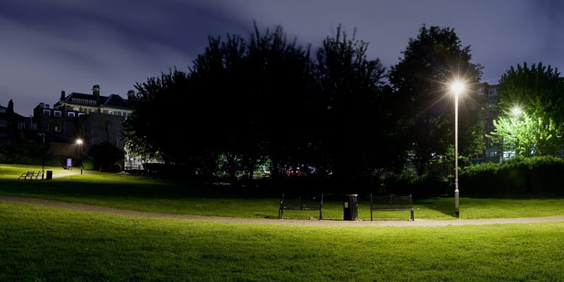 Park lawn and dark trees under a single streetlamp at night