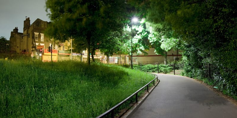 Long grass catching lamplight beside a park path at night, an old house beyond