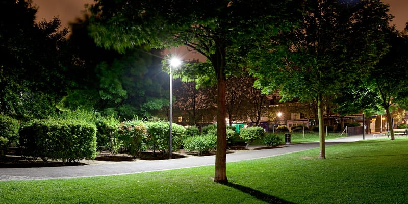 Hedge-lined park lawn under lamplight at night