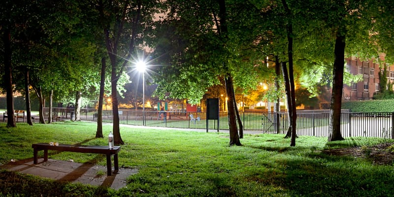 A bench beneath lamplit trees at night, iron railings and a glowing city sky